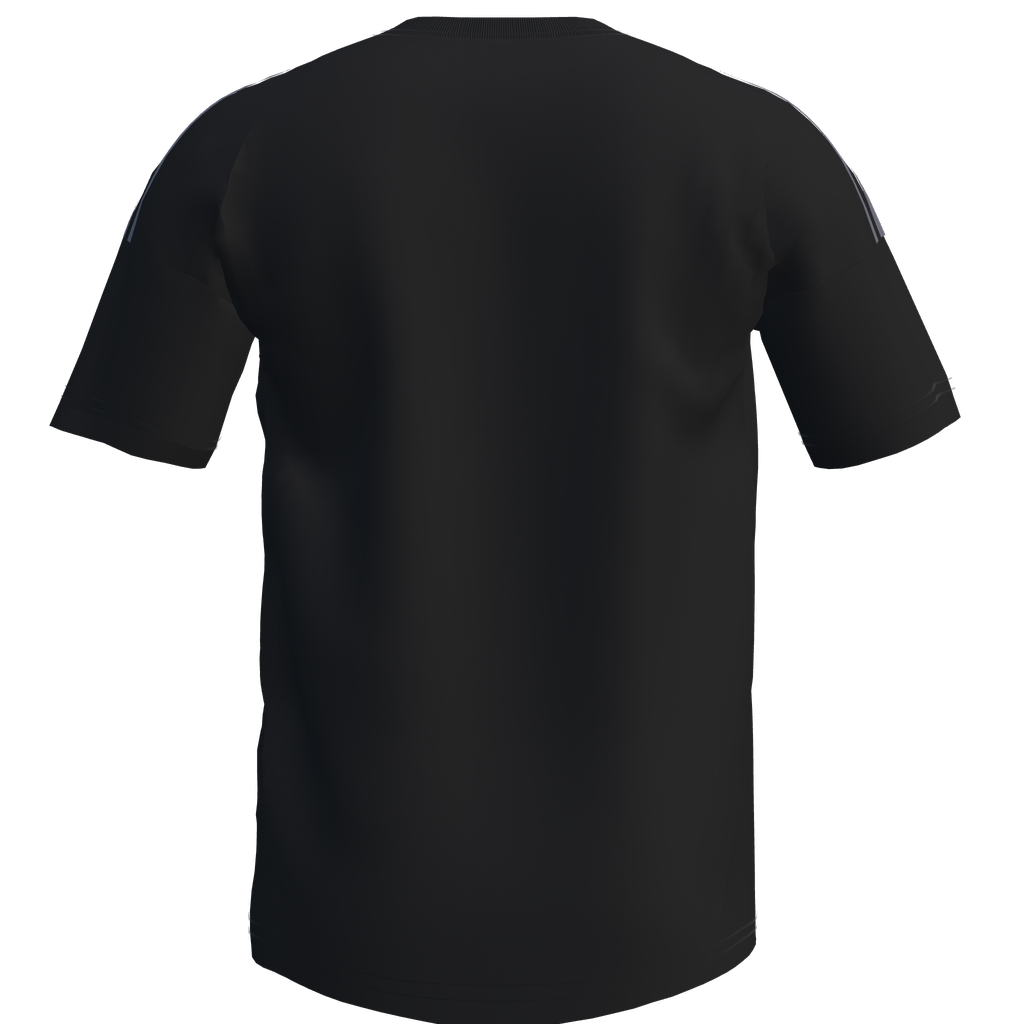 Farnham Town 26/27 Third Shirt